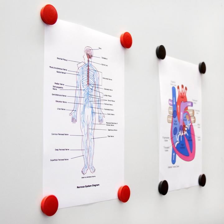 Actual product image Boston Xtra Holding magnet round (1 x)