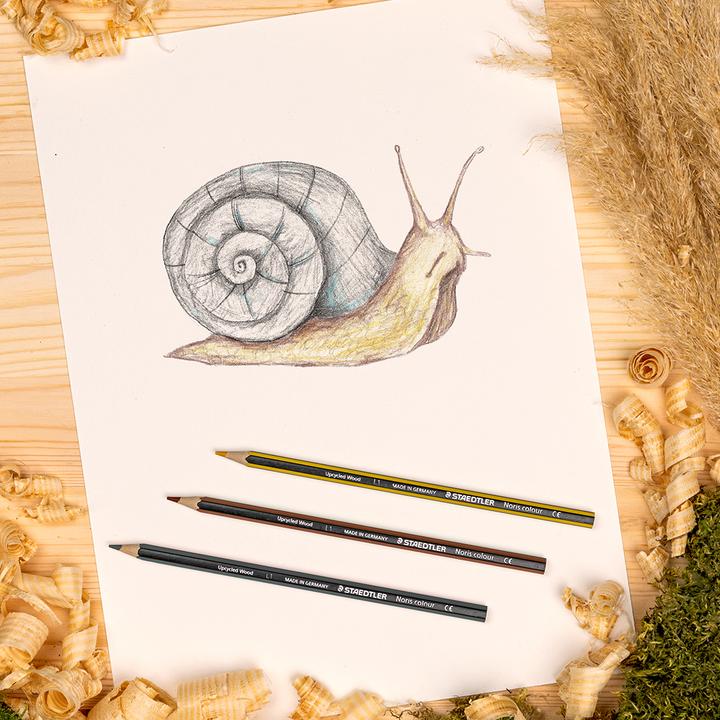 Produktbild Staedtler Noris (12x)