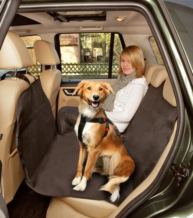 Produktbild Karlie Car Safe Easy (Hund, Waschbar)