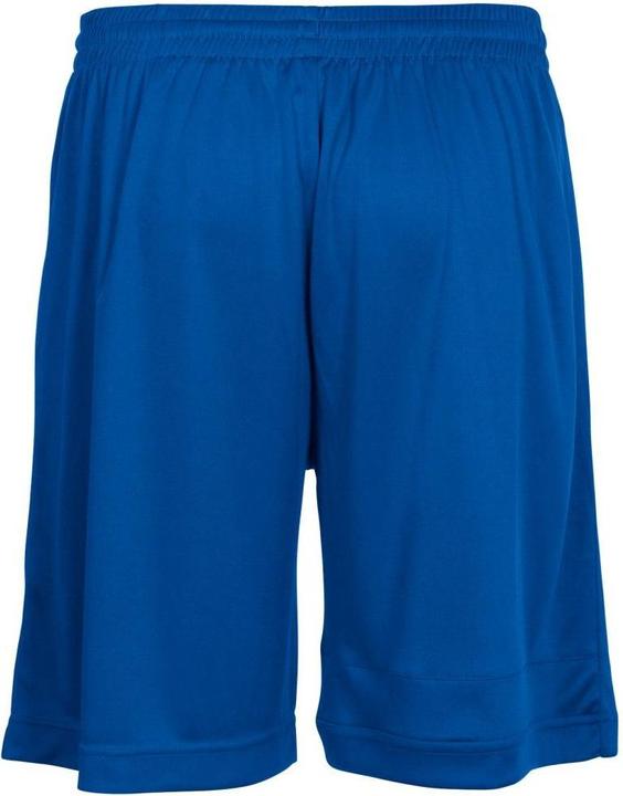 Actual product image Stanno Field Shorts (S)