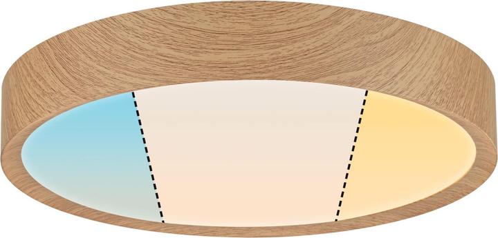 Produktbild Paulmann LED-Deckenleuchte (2400 lm)