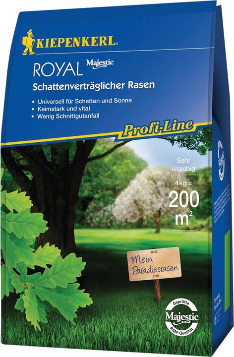 Rasensamen Schattenvertrglicher Rasen 4 kg 200 m (Rasensamen)