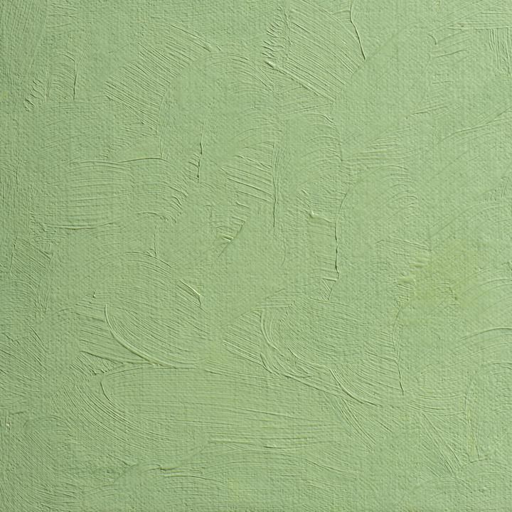 Image du produit BlockX - Vert composé clair (200 ml)