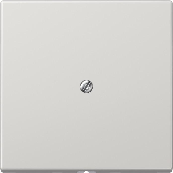 Actual product image JUNG Insert cable outlet LS lgr glz Screw position LS990ALG