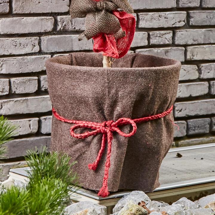 Produktbild Siena Garden Jutekordel 2m x 12mm rot (200 cm, 1.20 cm)