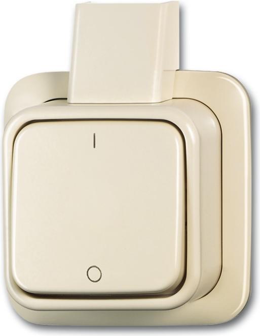 Busch-Jaeger Interruttore a bilanciere a 2 poli, interruttore automatico 2CKA001042A0654