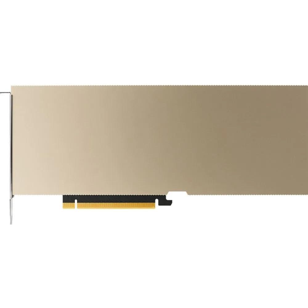 PNY NVIDIA A10 MODULE 24GB (24 GB), Grafikkarte