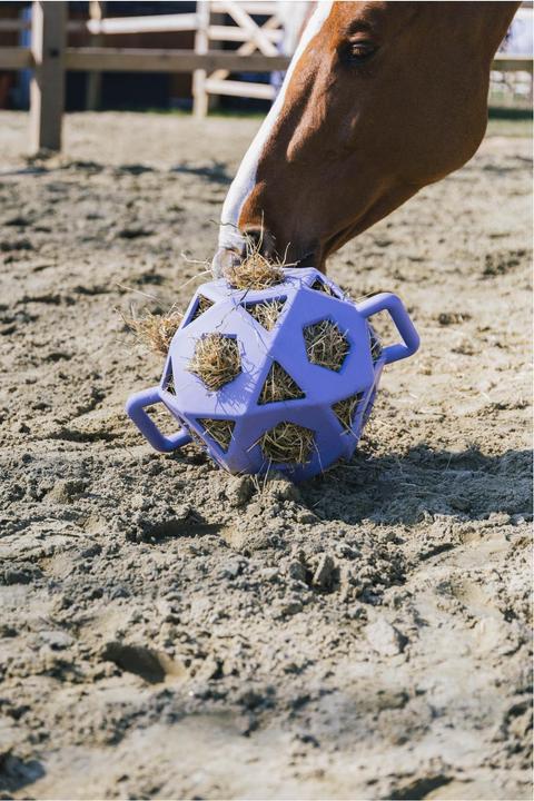 Image du produit Kentucky Horsewear Jeu Relax Horse & Boule de foin