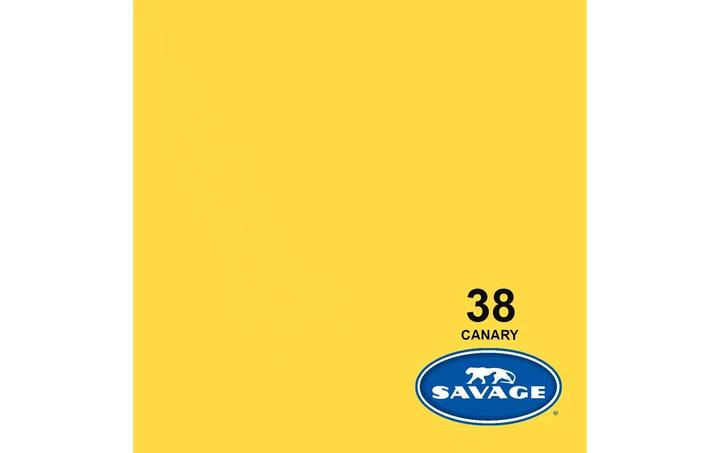 Image du produit Savage Fond 2.72 x 11 m jaune canari (272 cm, 1100 cm)