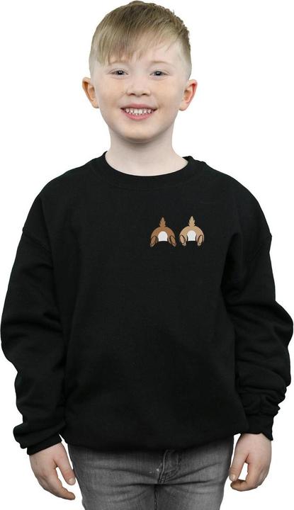 Actual product image Disney Boys Chip N Dale Backside Breast Print Sweatshirt (128)