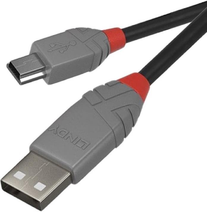 Immagine prodotto Lindy Da Tipo A a Mini-B (2 m, USB 2.0)