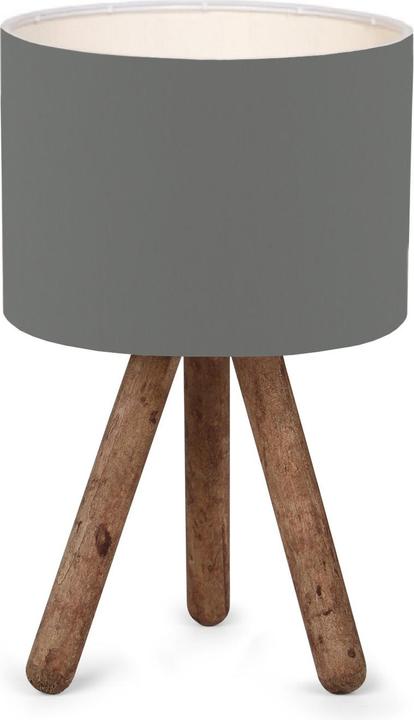Actual product image Opviq Nehemiah (E27)