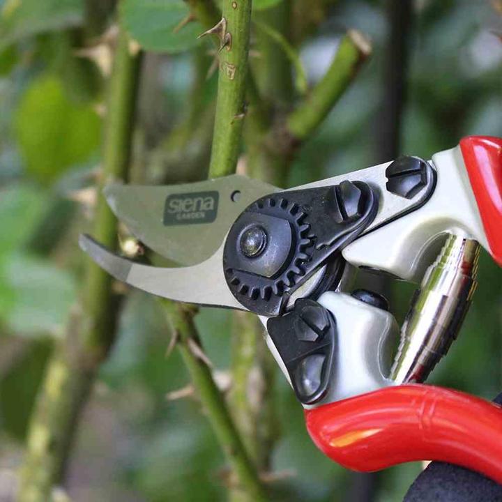 Productafbeelding Siena Garden Snoeischaar Premium 6-KS