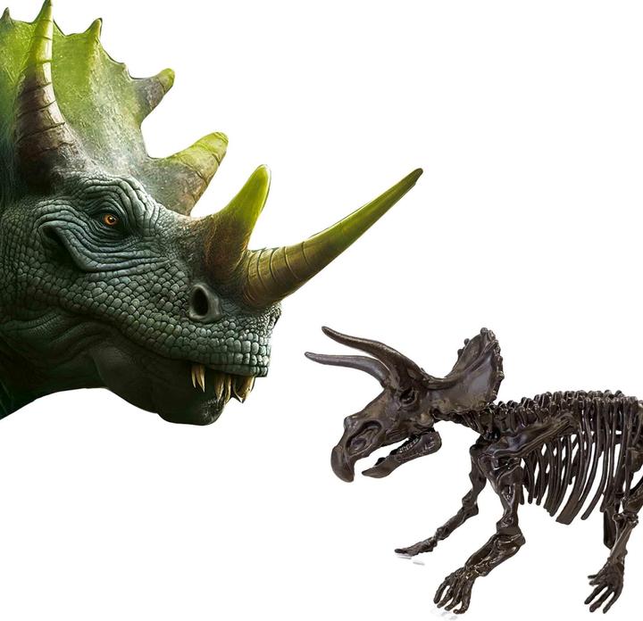 Produktbild Ses Explore Dino and Skeleton Dig 2in1 – Triceratops