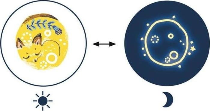 Actual product image Djeco Glow in the Dark Sweet dreams
