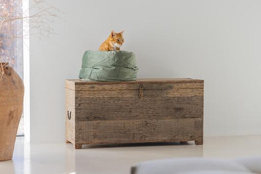 Productafbeelding Designed by Lotte Fluco (Kat)