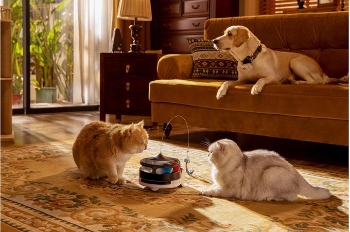 Produktbild Enabot ROLA PetPal Interactive Toys (Beschäftigungsspielzeug Katze)