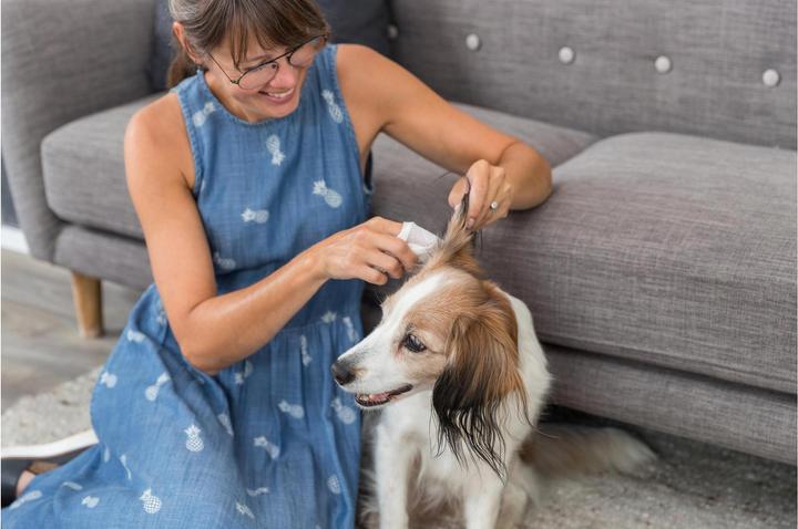 Actual product image Trixie Care wipes for ears 30pcs (Cat, Rodents, Dog)