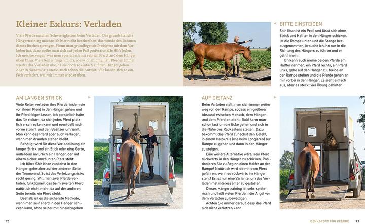 Image du produit Kosmos Bodenarbeit mit Pferden (Allemand, Sigrid Schöpe, 2023)