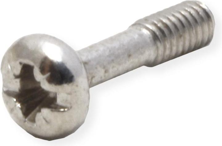 Actual product image Schroff neck screw with cross slot/slot - neck screw m.kr.m2.5 ni 100st