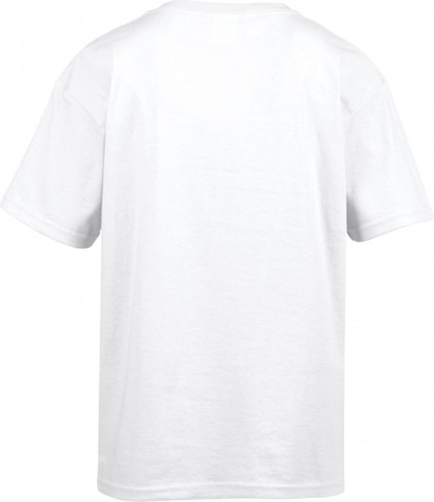 Actual product image Gildan Mens Softstyle T-Shirt (M)