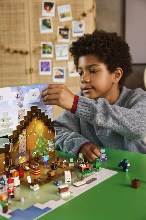 Actual product image LEGO Minecraft