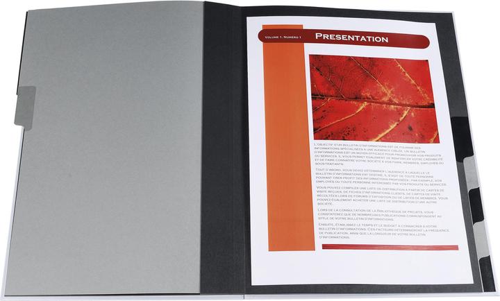 Actual product image Exacompta Folders with pleated spine (A4, 1x)