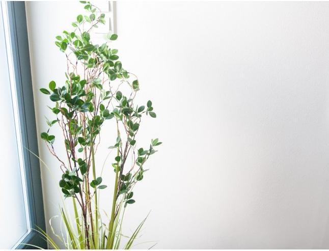 Produktbild Europalms Immergrünstrauch mit Gras, Kunstpflanze, 152 cm (152 cm)