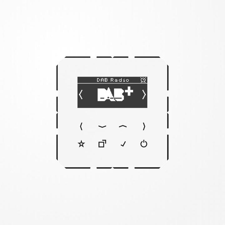 Actual product image JUNG Smart Radio DABCDWW DAB+ (DAB+, FM)