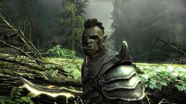 Productafbeelding Bethesda The Elder Scrolls V: Skyrim (Switch, Meertalig)