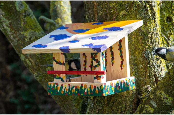 Immagine prodotto Dobar Alimentatore per uccelli Kit con colori 22,5 x 18 x 16 cm