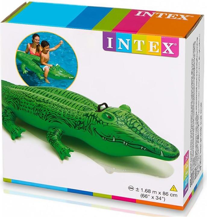 Actual product image Intex The Lil' Gator