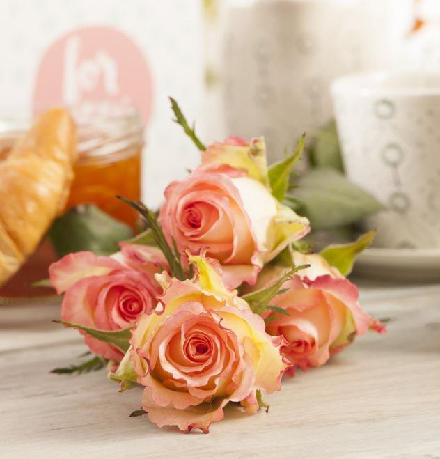Actual product image 14 Ecuador roses, 60 cm, orange (Cut flowers)