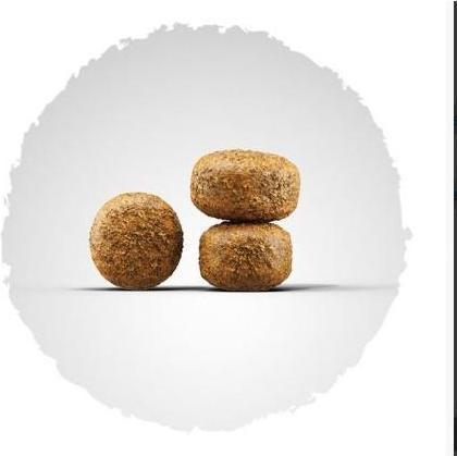 Actual product image Josera Balance (Senior, 1 pcs., 900 g)