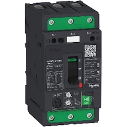 Schneider Electric, Schutzschalter, GV4PE MultiTh/Mag 115A 100kAElink