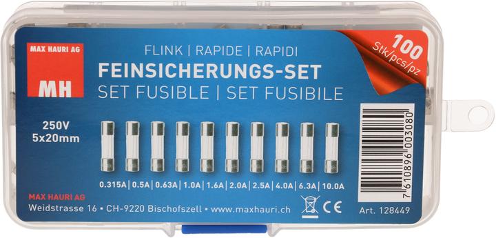 Produktbild Max Hauri Feinsicherungs-Set 10x10 Stk. (10 A)