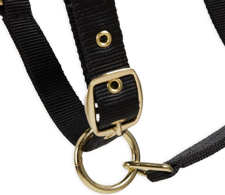 Produktbild Fouganza Halfter Synthetik-Lafell