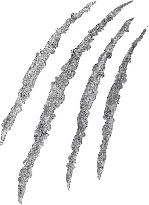 Actual product image All Tigers Eyeshadow | Eye shadow - 302 GREY (Grey)