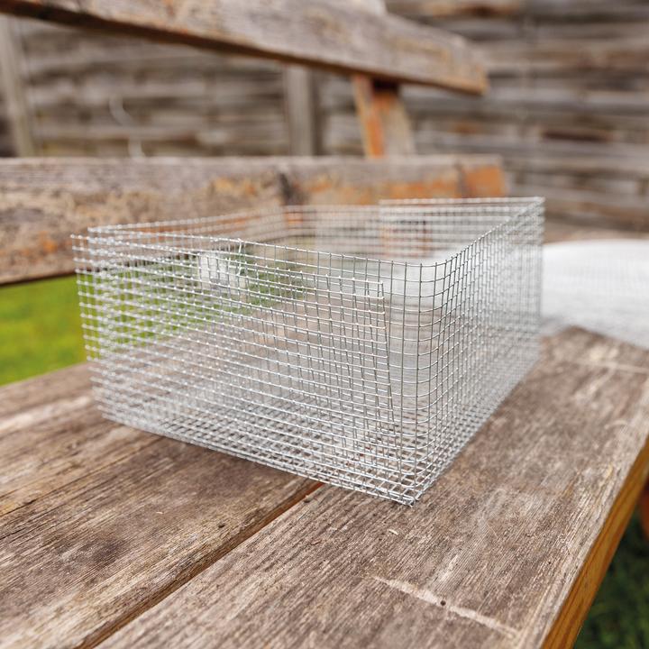 Produktbild Bellissa Blumenzweibel Gamaschen 20 (5er Set)