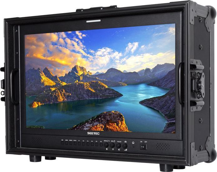 Image du produit Seetec monitor P215-9HSD-CO Carry-on Broadcast Director (argent) (21.50", Full HD)