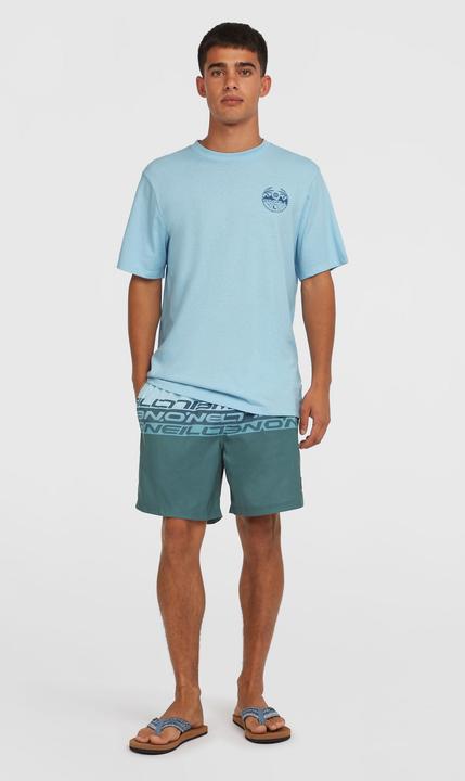 Produktbild O'Neill Cali Stripe 16" Swimshorts (L)