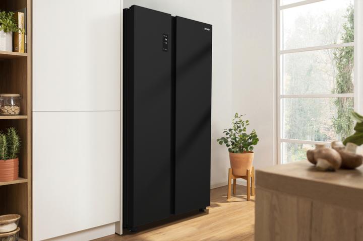 Actual product image Gorenje NRR9185EABXL (550 l)