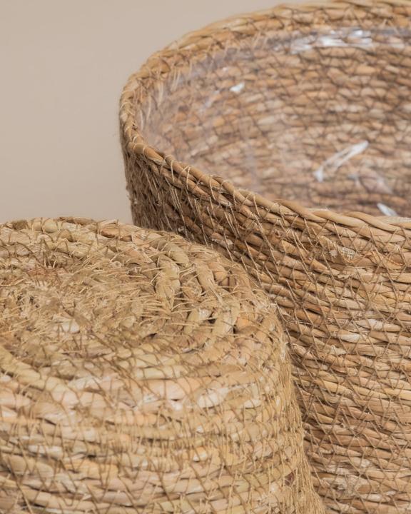 Actual product image feey Kesat (16 cm)