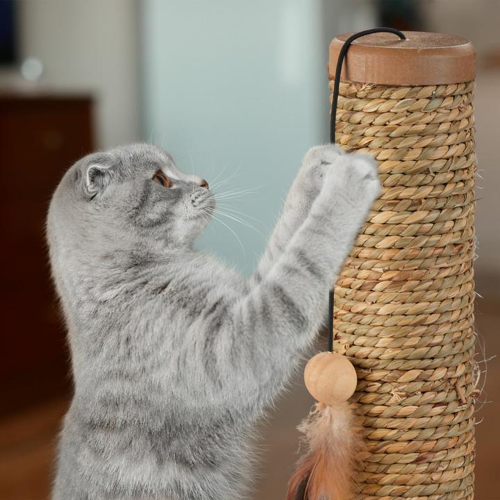 Immagine prodotto Relaxdays Scaffale resistente