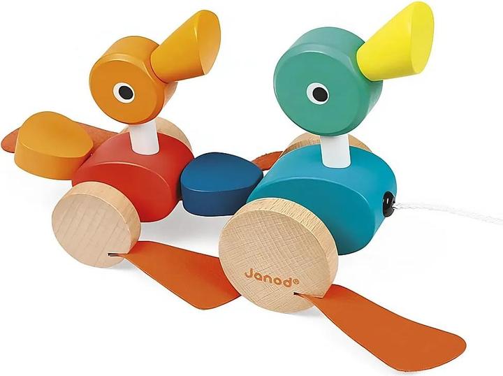Image du produit Janod Famille de canards