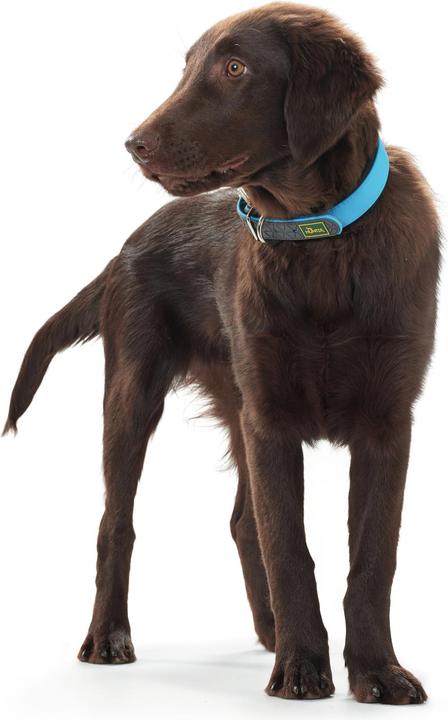 Produktbild Hunter Halsband Convenience Biothane (S, Hund, Allgemein)