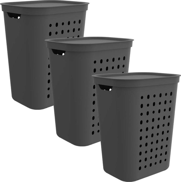 Rotho Set of 3 laundry bins Jona 55l