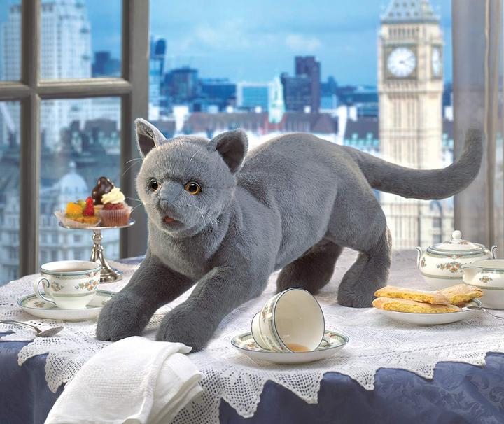 Produktbild Folkmanis Katze