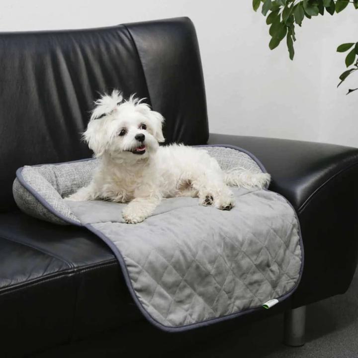 Image du produit Kerbl Emalia (Chien)