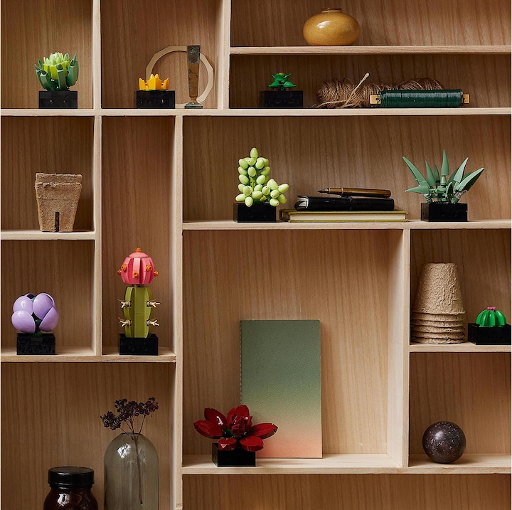Image du produit LEGO Les succulentes (10309, LEGO Botanical, LEGO difficiles à trouver)